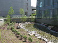 Bioretention area next to courtyard patio.