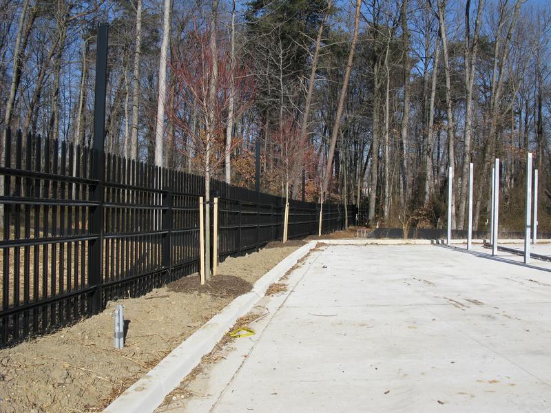 South boundary; note trees planted along the fence
