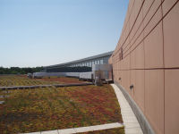 View of the green roof, which continued to thrive while the project was stalled.