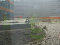 View of the bio-retention area from inside the atrium.