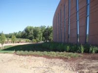 New sod and plants can be seen in front of the data center.