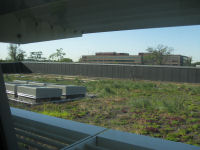 Green roof of data center