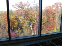 Colorful fall view to the north out the fourth floor windows