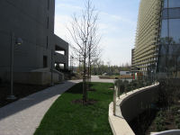 Area between parking garage (on the left) and the NCWCP (on the right).
