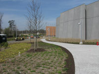 Landscaping at front of building (auditorium is to the right).