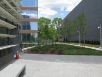 Area between the building and the parking garage.